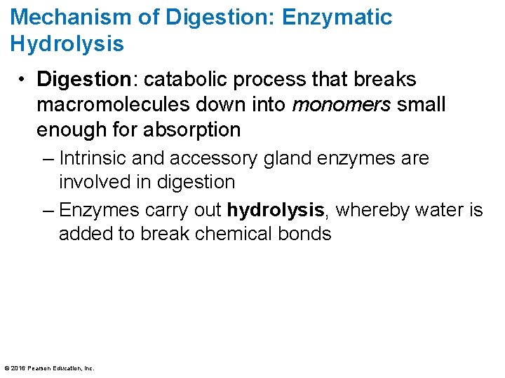 Mechanism of Digestion: Enzymatic Hydrolysis • Digestion: catabolic process that breaks macromolecules down into