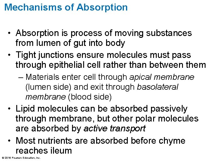 Mechanisms of Absorption • Absorption is process of moving substances from lumen of gut