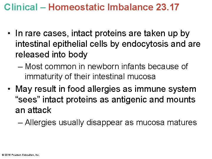 Clinical – Homeostatic Imbalance 23. 17 • In rare cases, intact proteins are taken