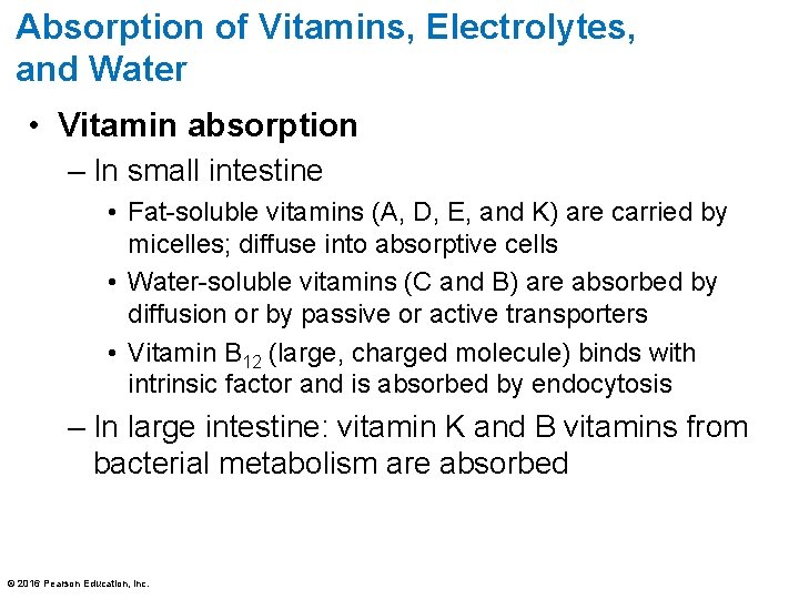 Absorption of Vitamins, Electrolytes, and Water • Vitamin absorption – In small intestine •