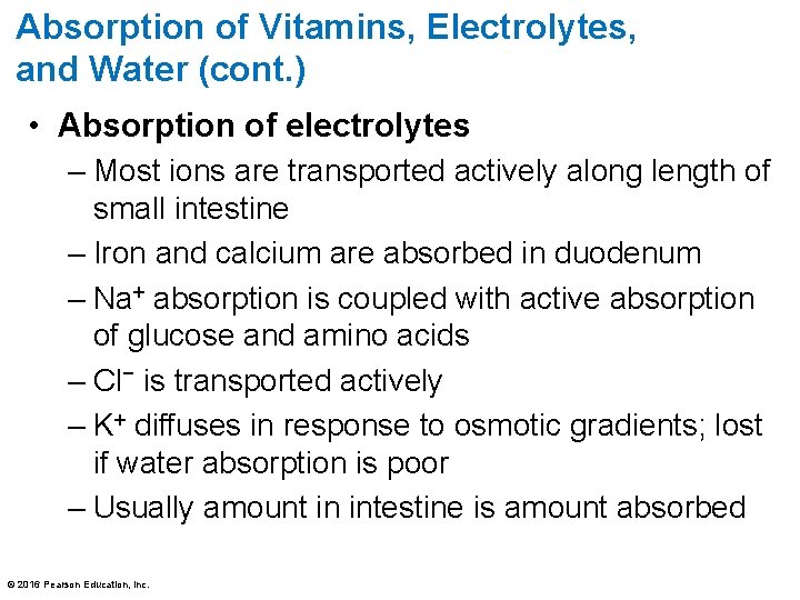 Absorption of Vitamins, Electrolytes, and Water (cont. ) • Absorption of electrolytes – Most