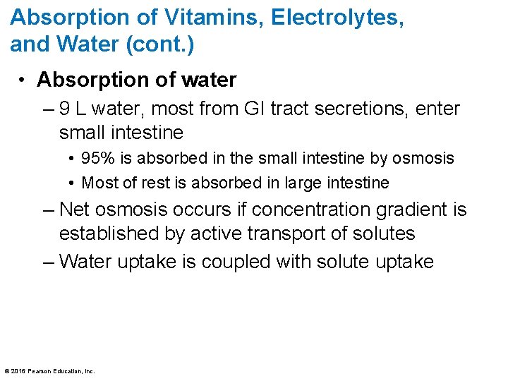 Absorption of Vitamins, Electrolytes, and Water (cont. ) • Absorption of water – 9