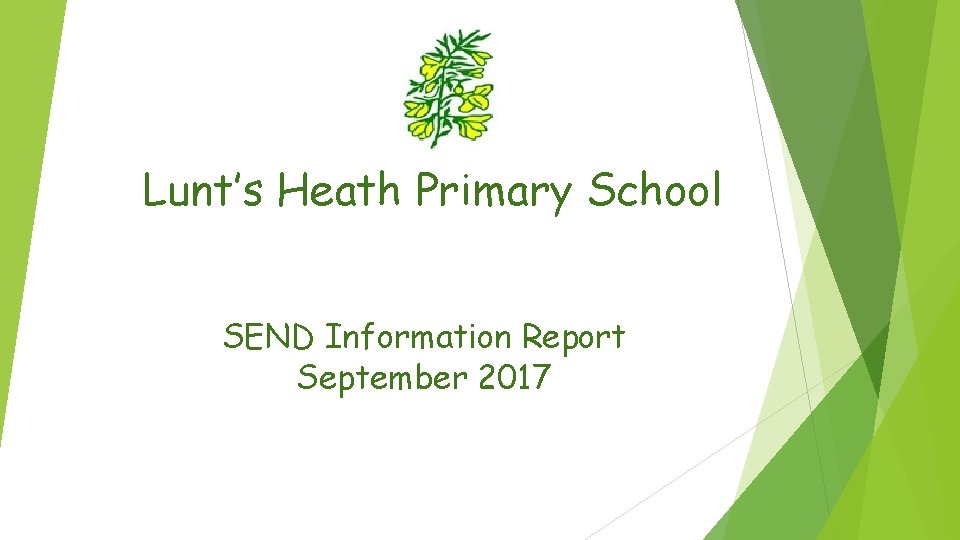 Lunt’s Heath Primary School SEND Information Report September 2017 