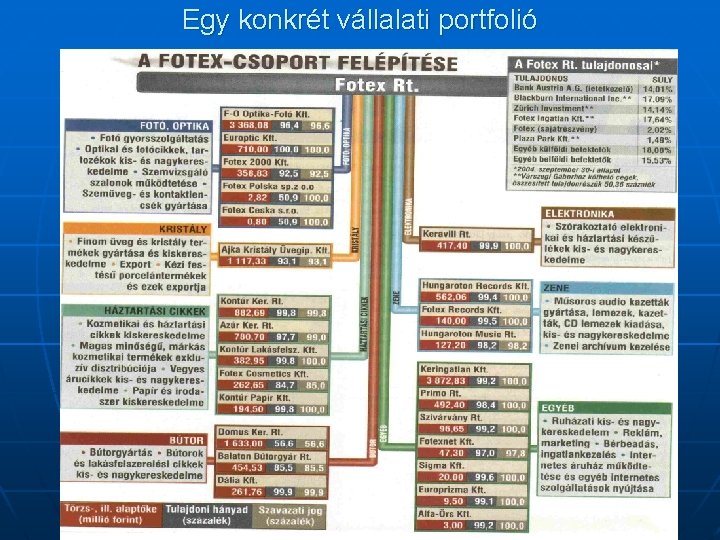 Egy konkrét vállalati portfolió 