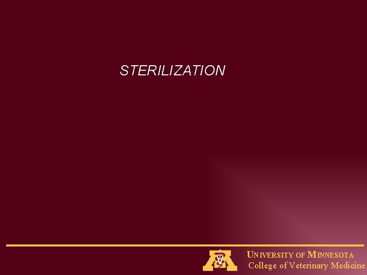 STERILIZATION UNIVERSITY OF MINNESOTA College of Veterinary Medicine 