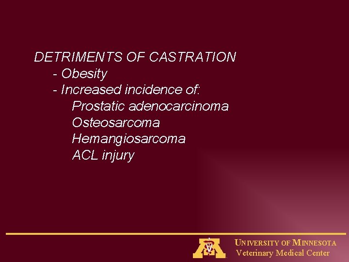 DETRIMENTS OF CASTRATION - Obesity - Increased incidence of: Prostatic adenocarcinoma Osteosarcoma Hemangiosarcoma ACL