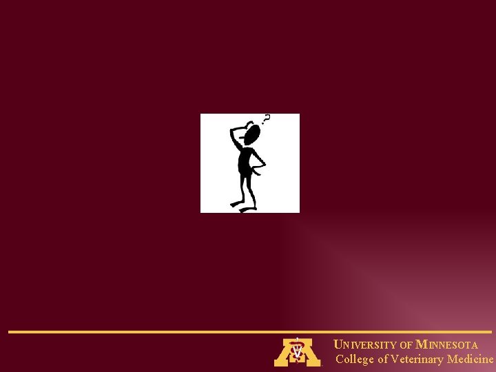 UNIVERSITY OF MINNESOTA College of Veterinary Medicine 