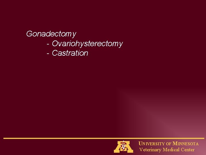 Gonadectomy - Ovariohysterectomy - Castration UNIVERSITY OF MINNESOTA Veterinary Medical Center 