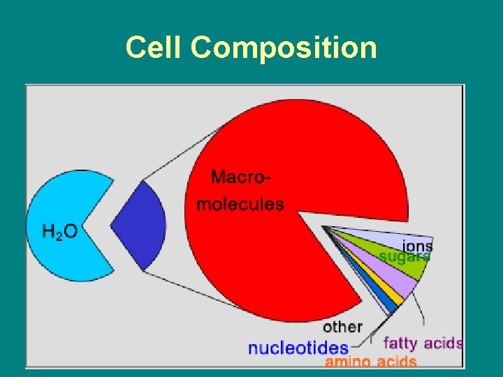 Cell Composition 