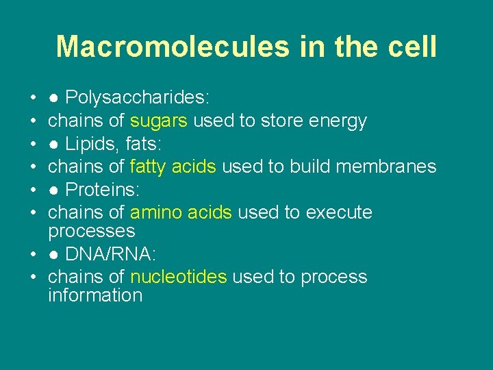 Macromolecules in the cell • • • ● Polysaccharides: chains of sugars used to