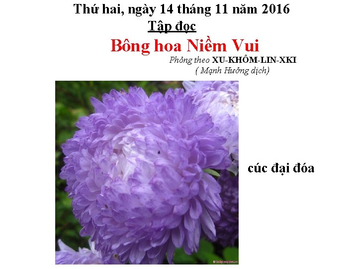 Thứ hai, ngày 14 tháng 11 năm 2016 Tập đọc Bông hoa Niềm Vui