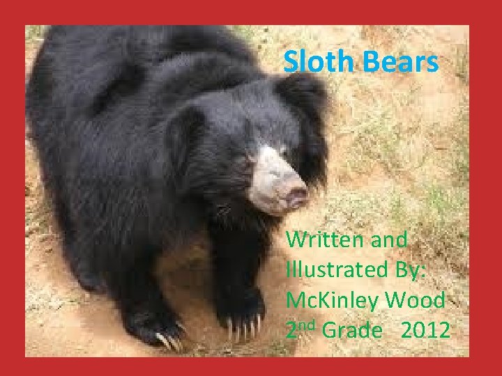 Sloth Bears Written and Illustrated By: Mc. Kinley Wood 2 nd Grade 2012 