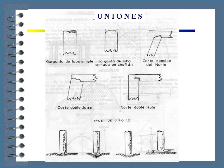 UNIONES 