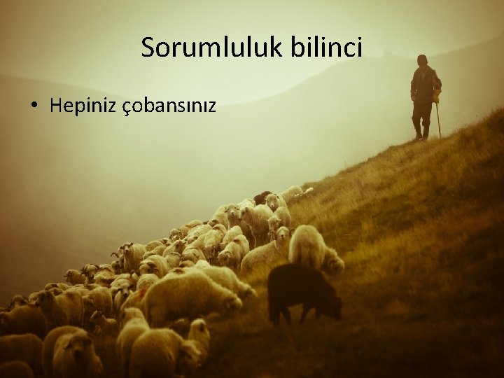 Sorumluluk bilinci • Hepiniz çobansınız 