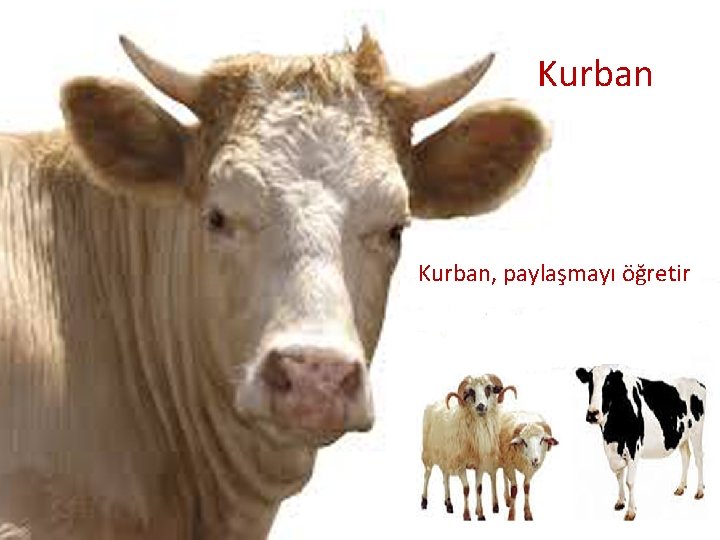 Kurban, paylaşmayı öğretir 