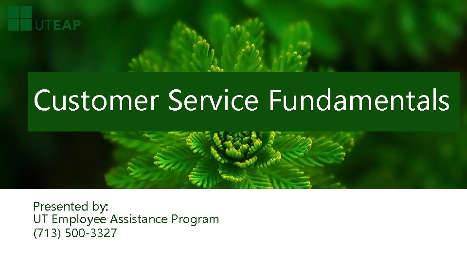 Customer Service Fundamentals Presented by: UT Employee Assistance Program (713) 500 -3327 