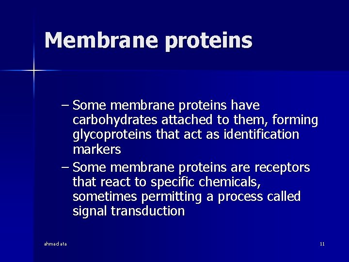Membrane proteins – Some membrane proteins have carbohydrates attached to them, forming glycoproteins that