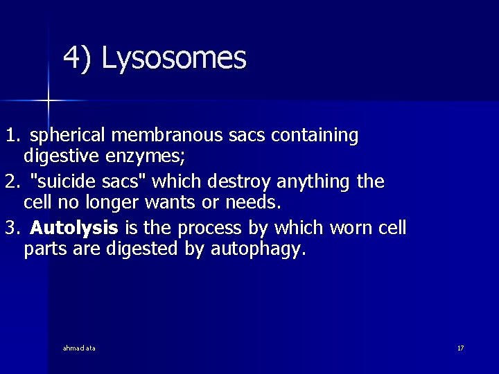 4) Lysosomes 1. spherical membranous sacs containing digestive enzymes; 2. "suicide sacs" which destroy