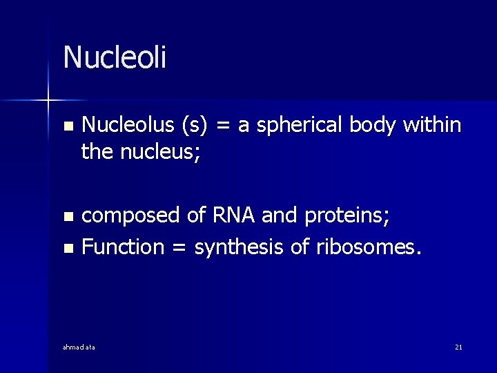 Nucleoli n Nucleolus (s) = a spherical body within the nucleus; composed of RNA