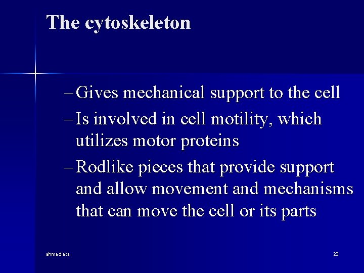 The cytoskeleton – Gives mechanical support to the cell – Is involved in cell