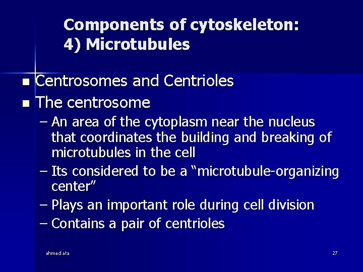 Components of cytoskeleton: 4) Microtubules Centrosomes and Centrioles n The centrosome n – An