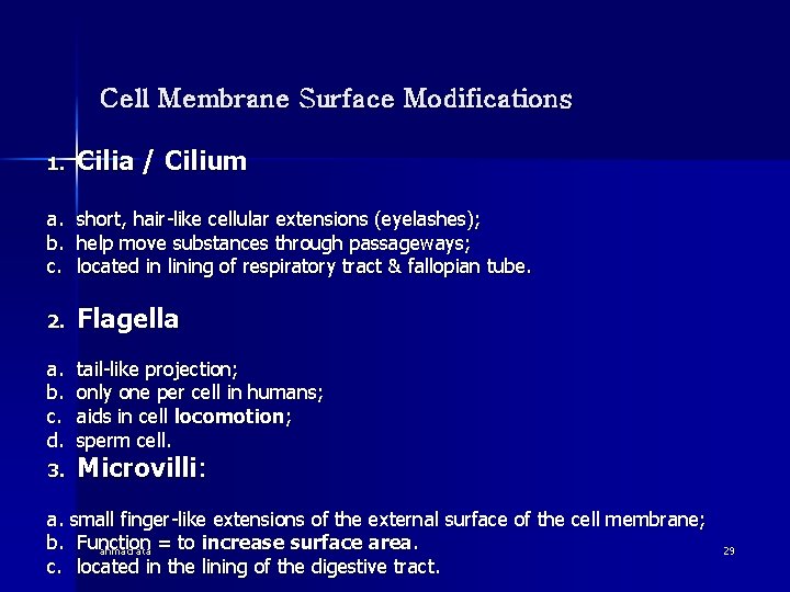 Cell Membrane Surface Modifications 1. Cilia / Cilium a. b. c. short, hair-like cellular