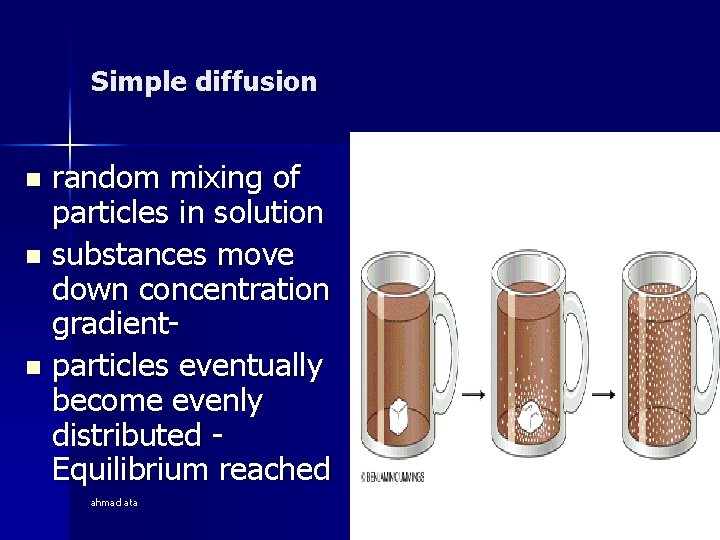 Simple diffusion random mixing of particles in solution n substances move down concentration gradientn