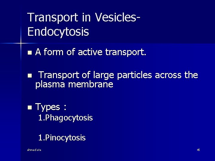 Transport in Vesicles. Endocytosis n A form of active transport. n Transport of large