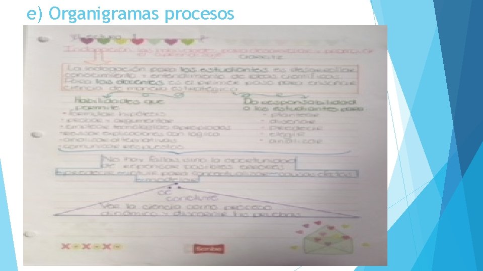 e) Organigramas procesos 