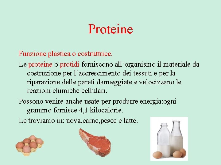 Proteine Funzione plastica o costruttrice. Le proteine o protidi forniscono all’organismo il materiale da