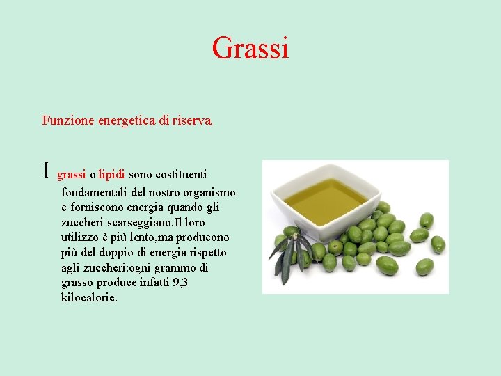 Grassi Funzione energetica di riserva. I grassi o lipidi sono costituenti fondamentali del nostro