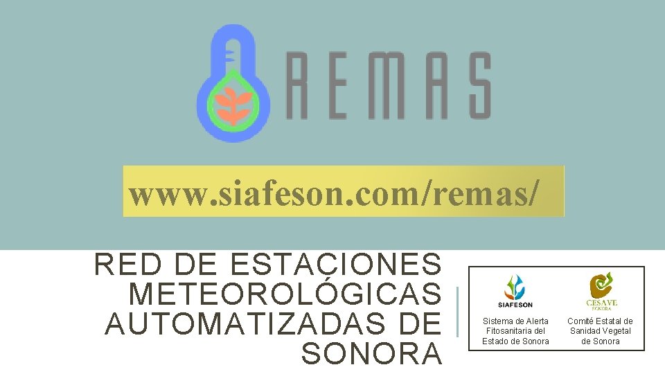 www. siafeson. com/remas/ RED DE ESTACIONES METEOROLÓGICAS AUTOMATIZADAS DE SONORA Sistema de Alerta Fitosanitaria