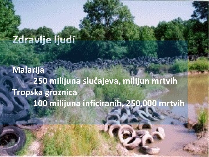 Zdravlje ljudi Malarija 250 milijuna slučajeva, milijun mrtvih Tropska groznica 100 milijuna inficiranih, 250,