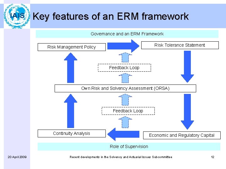 Key features of an ERM framework Governance and an ERM Framework Risk Tolerance Statement