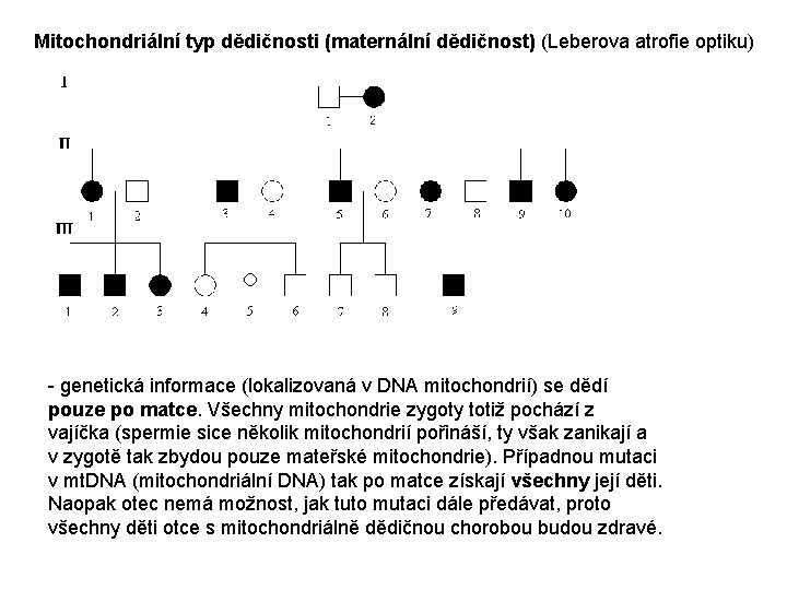 Mitochondriální typ dědičnosti (maternální dědičnost) (Leberova atrofie optiku) - genetická informace (lokalizovaná v DNA