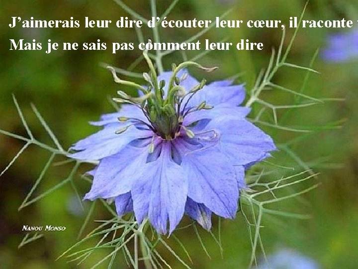 J’aimerais leur dire d’écouter leur cœur, il raconte t Mais je ne sais pas