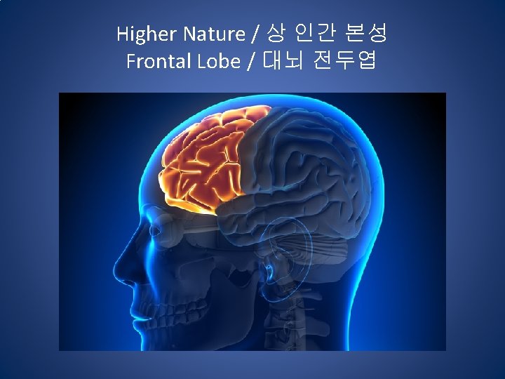 Higher Nature / 상 인간 본성 Frontal Lobe / 대뇌 전두엽 