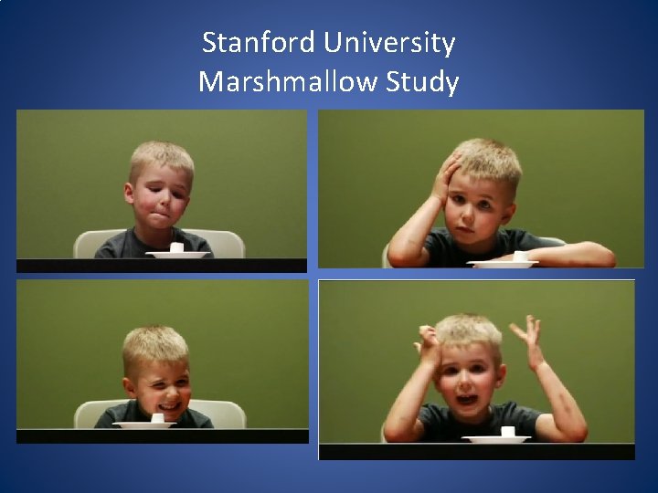 Stanford University Marshmallow Study 