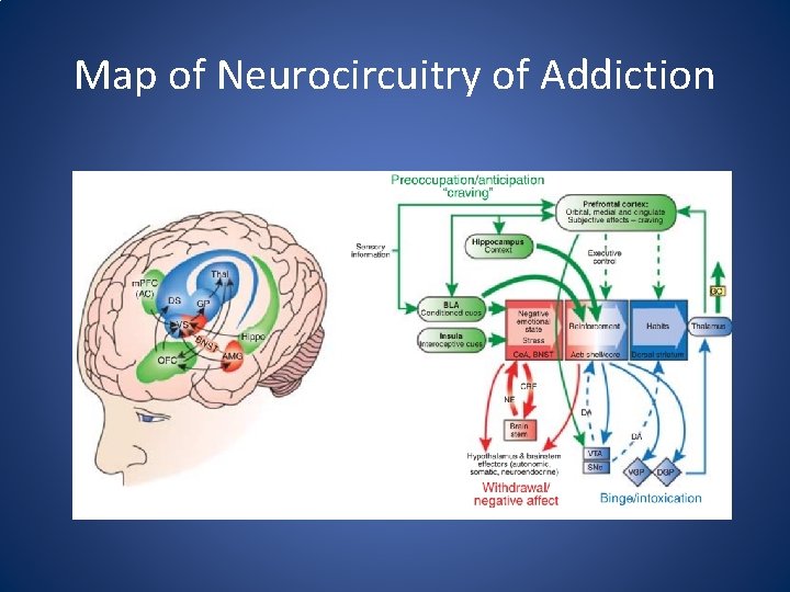 Map of Neurocircuitry of Addiction 