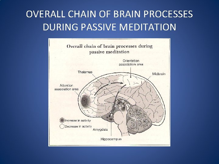 OVERALL CHAIN OF BRAIN PROCESSES DURING PASSIVE MEDITATION 