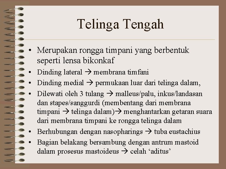 Telinga Tengah • Merupakan rongga timpani yang berbentuk seperti lensa bikonkaf • Dinding lateral