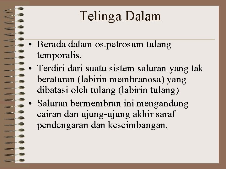 Telinga Dalam • Berada dalam os. petrosum tulang temporalis. • Terdiri dari suatu sistem