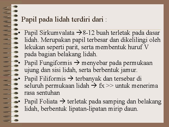 Papil pada lidah terdiri dari : • Papil Sirkumvalata 8 -12 buah terletak pada Papil pada lidah terdiri dari : • Papil Sirkumvalata 8 -12 buah terletak pada