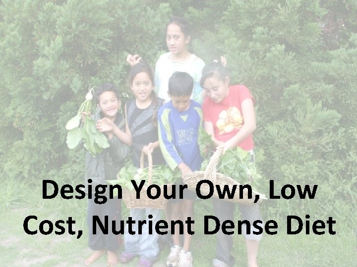 Design Your Own, Low Cost, Nutrient Dense Diet 