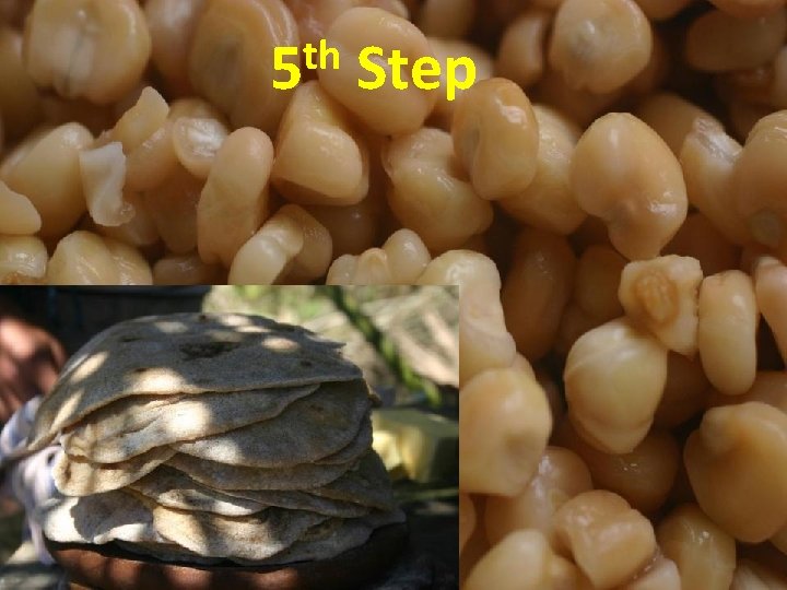 th Step 5 th 5 Step • Grains pics 