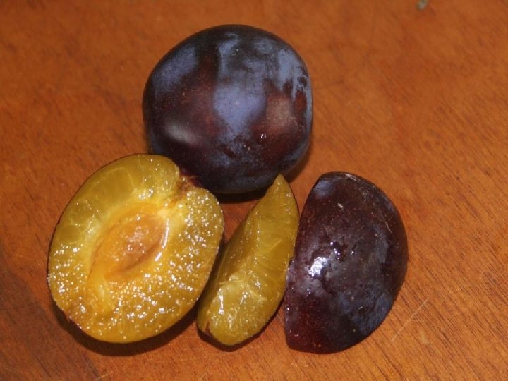  • Choke berries, service berries, medlars quinces, Blood oranges, prune plums 