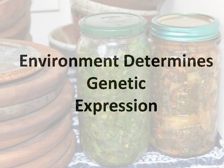 Environment Determines Genetic Expression 