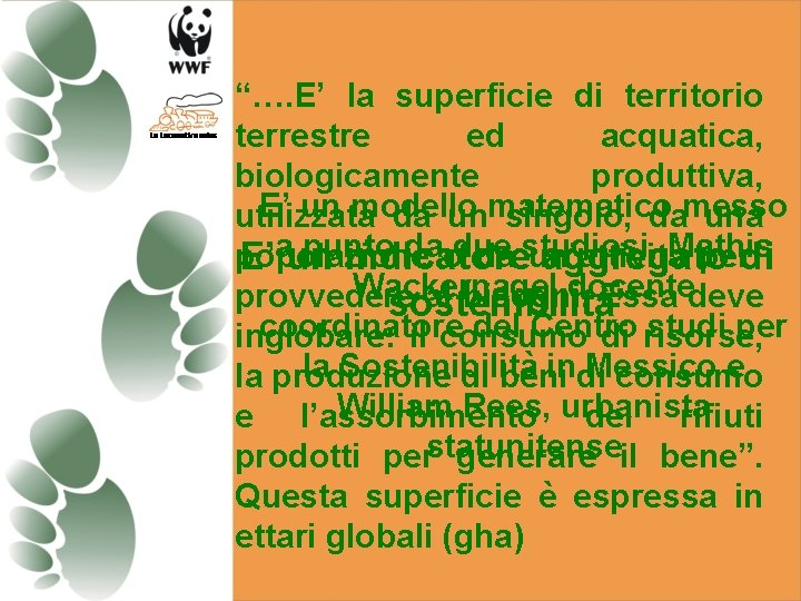 “…. E’ la superficie di territorio terrestre ed acquatica, biologicamente produttiva, E’ un modello “…. E’ la superficie di territorio terrestre ed acquatica, biologicamente produttiva, E’ un modello