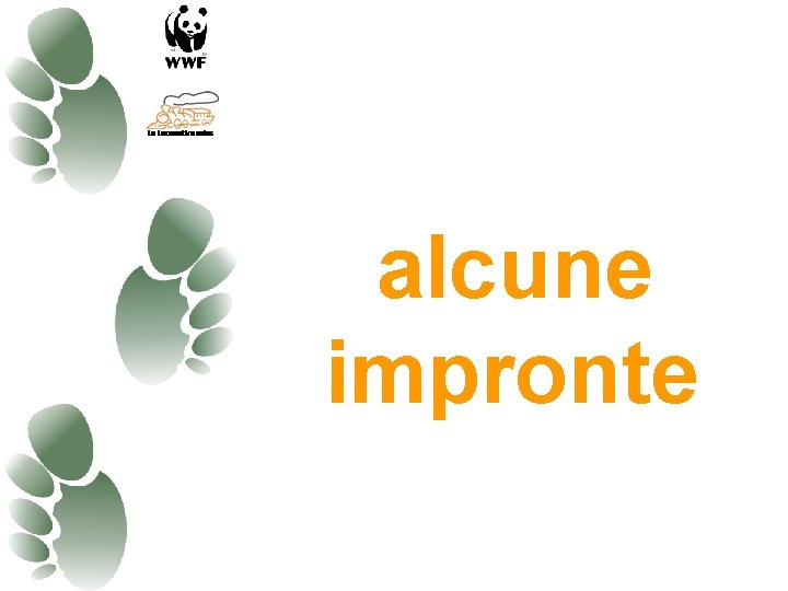 alcune impronte 