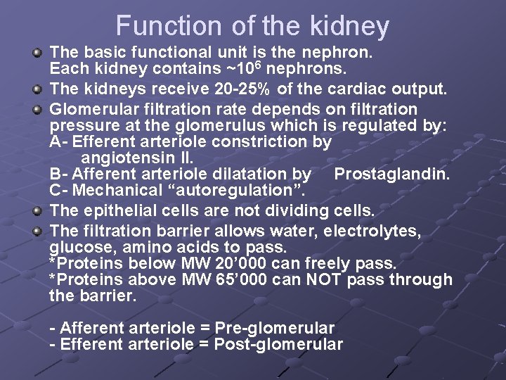 Function of the kidney The basic functional unit is the nephron. Each kidney contains